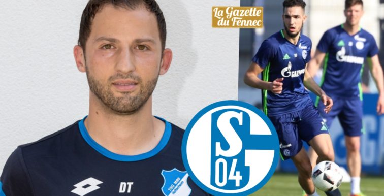 Schalke : un nouveau coach de 31 ans pour Bentaleb !