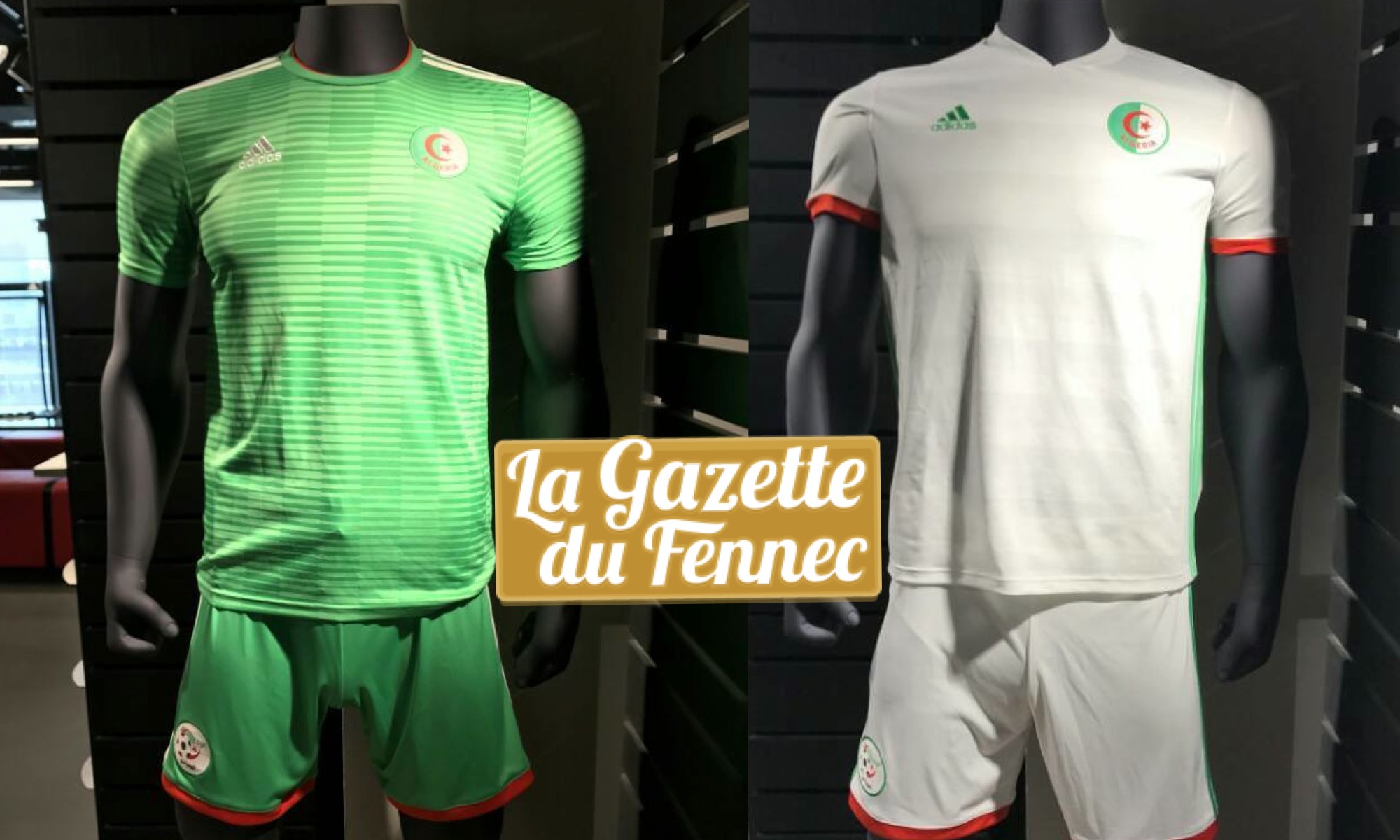 nouveaux maillots Adidas algerie