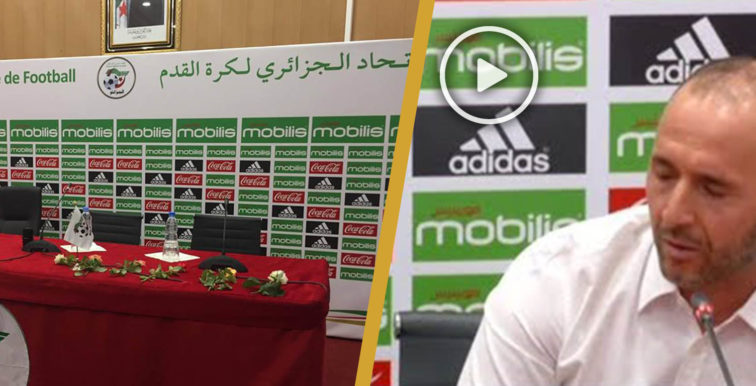 Revoir la conférence de presse de Belmadi en intégralité