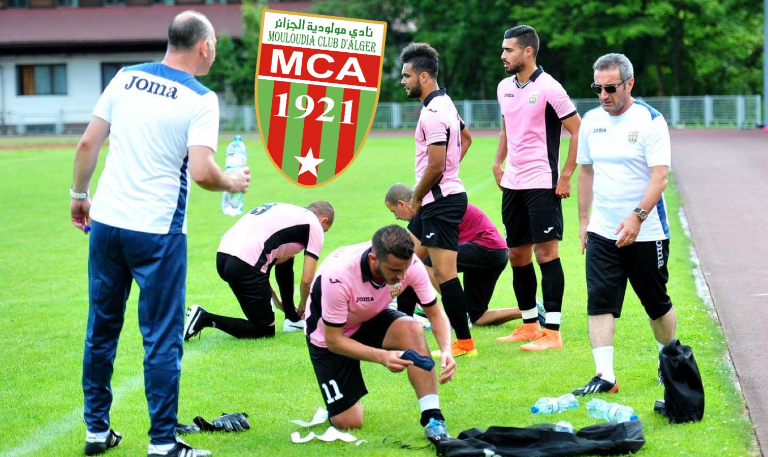 mca stage pologne scandale