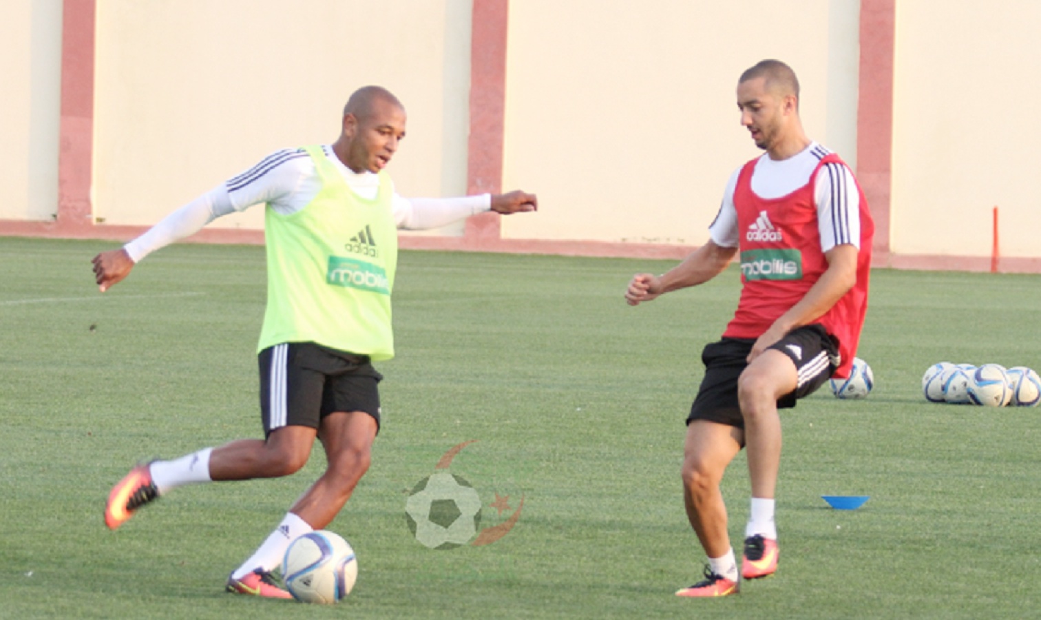brahimi face à hanni