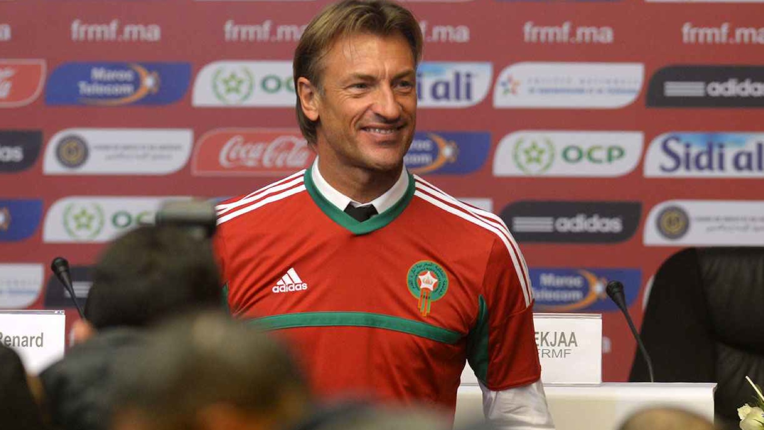 renard maroc