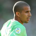 feghouli profil