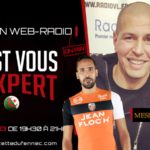 expert nedjel et mesloub