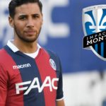 taider impact montreal