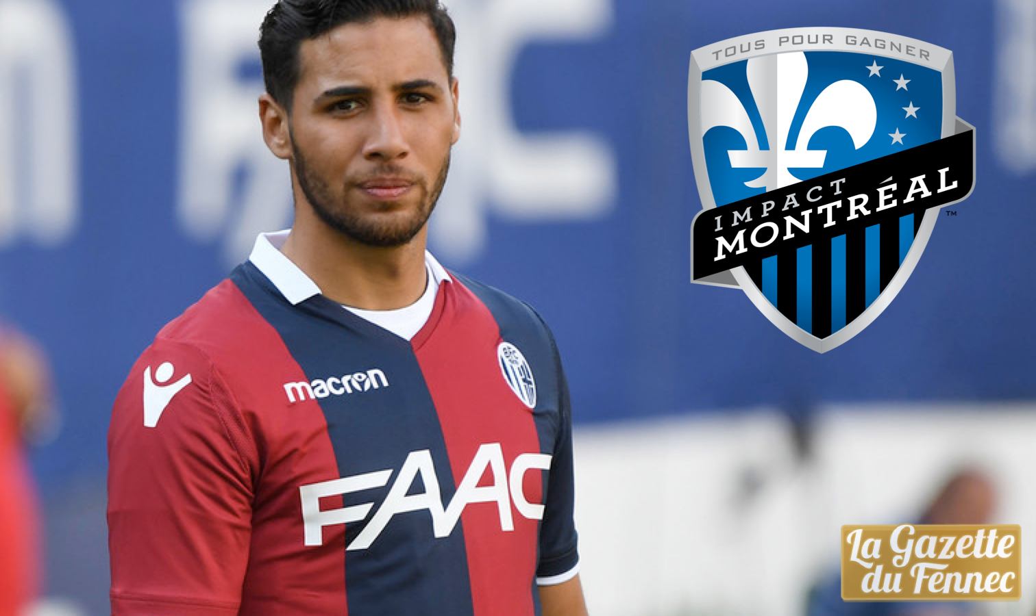 taider impact montreal