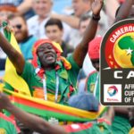 cameroun CAN 2019 supporter