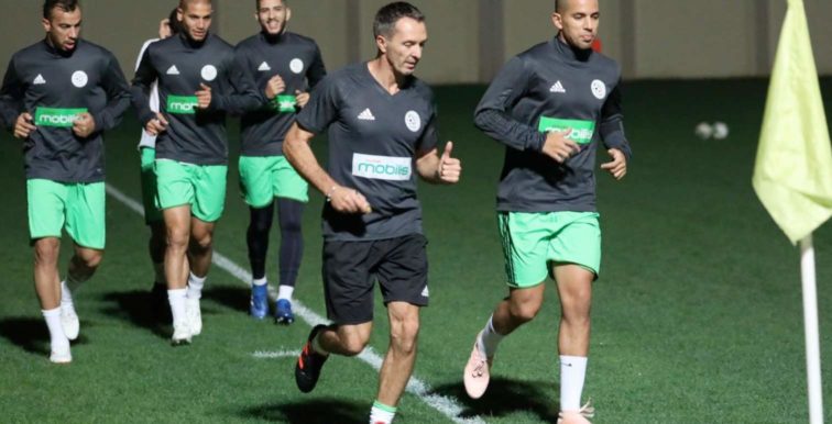 Romano : “Bounedjah peut encore progresser”