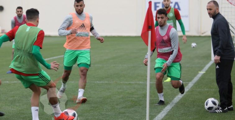 ALG-TUN : le 11 de départ de Belmadi avec ses “stars”