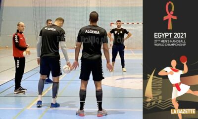 handball egypt 2021 alain porte stage