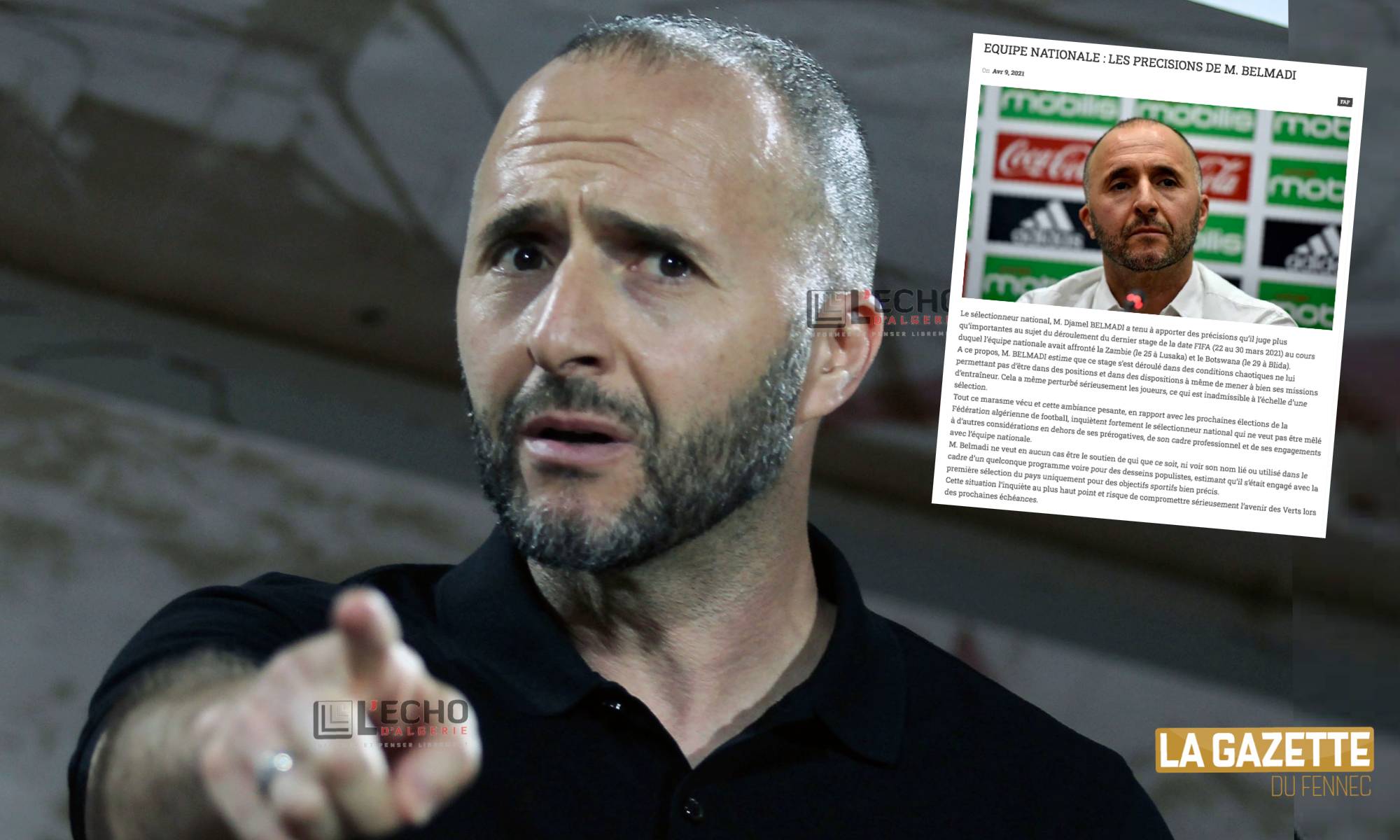 belmadi communique colere explique