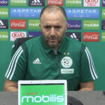 Belmadi conférence de presse