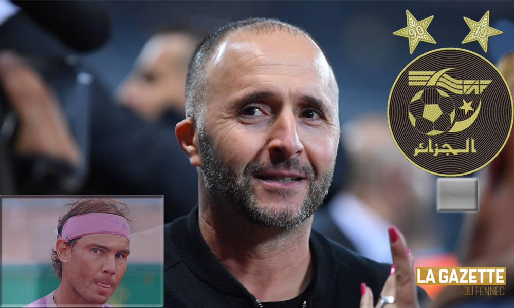 belmadi update