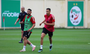 Andy Delort Mehdi Zerkane entraînement