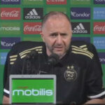 Djamel Belmadi conférence de presse