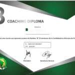 diplome coach caf b dtn