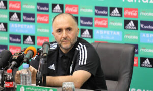 Belmadi conférence de presse