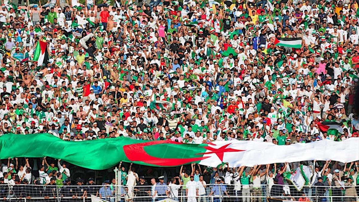 public algérien stade dz