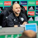 belmadi sourire conference presse