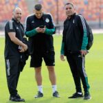 belmadi staff zoheir amine labdi