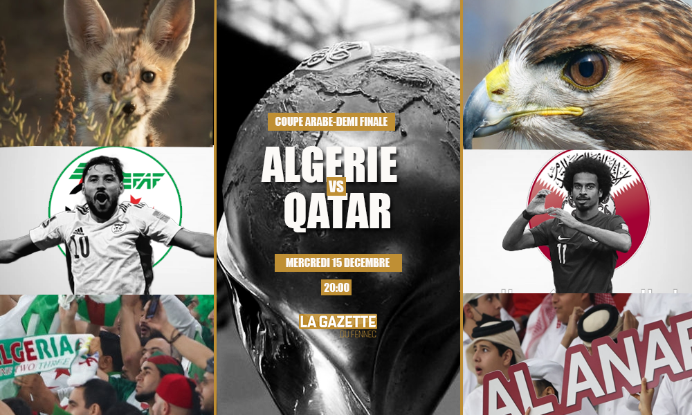 Algerie vs Qatar