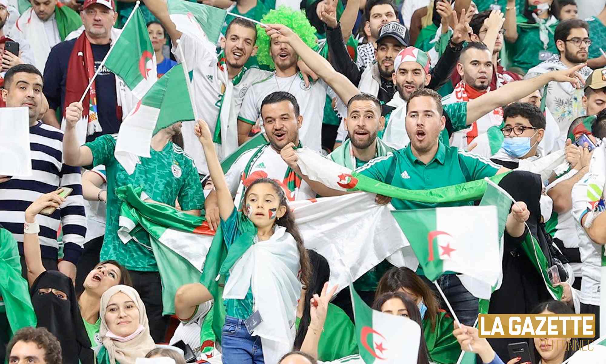 algerien supporters public doha coupe arabe 2021