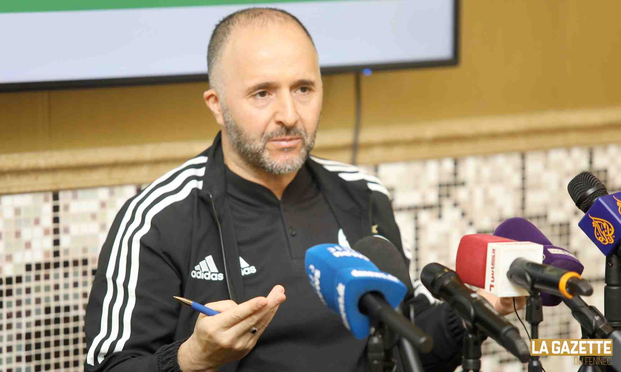 belmadi conference presse doha