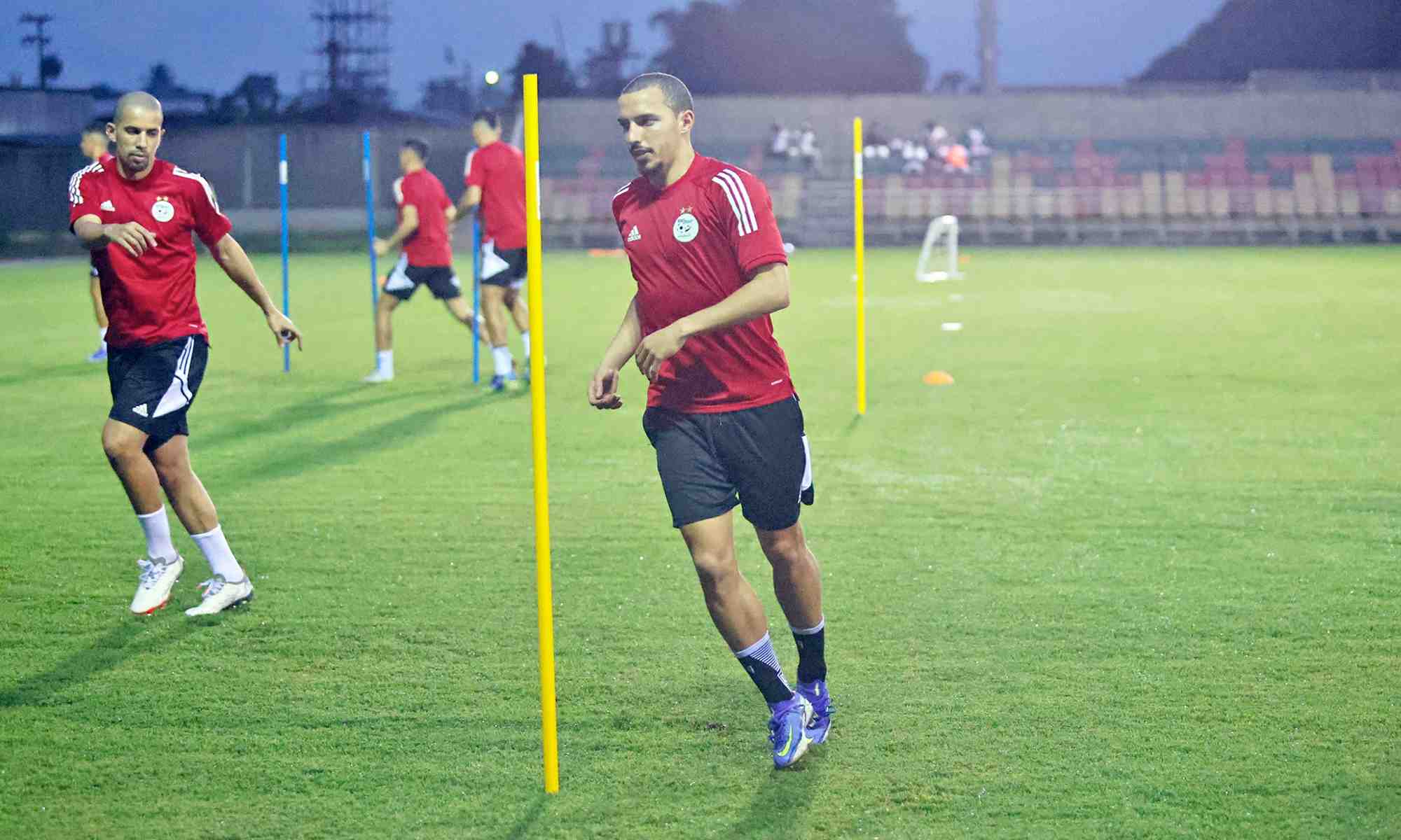 benncer feghouli entrainement douala