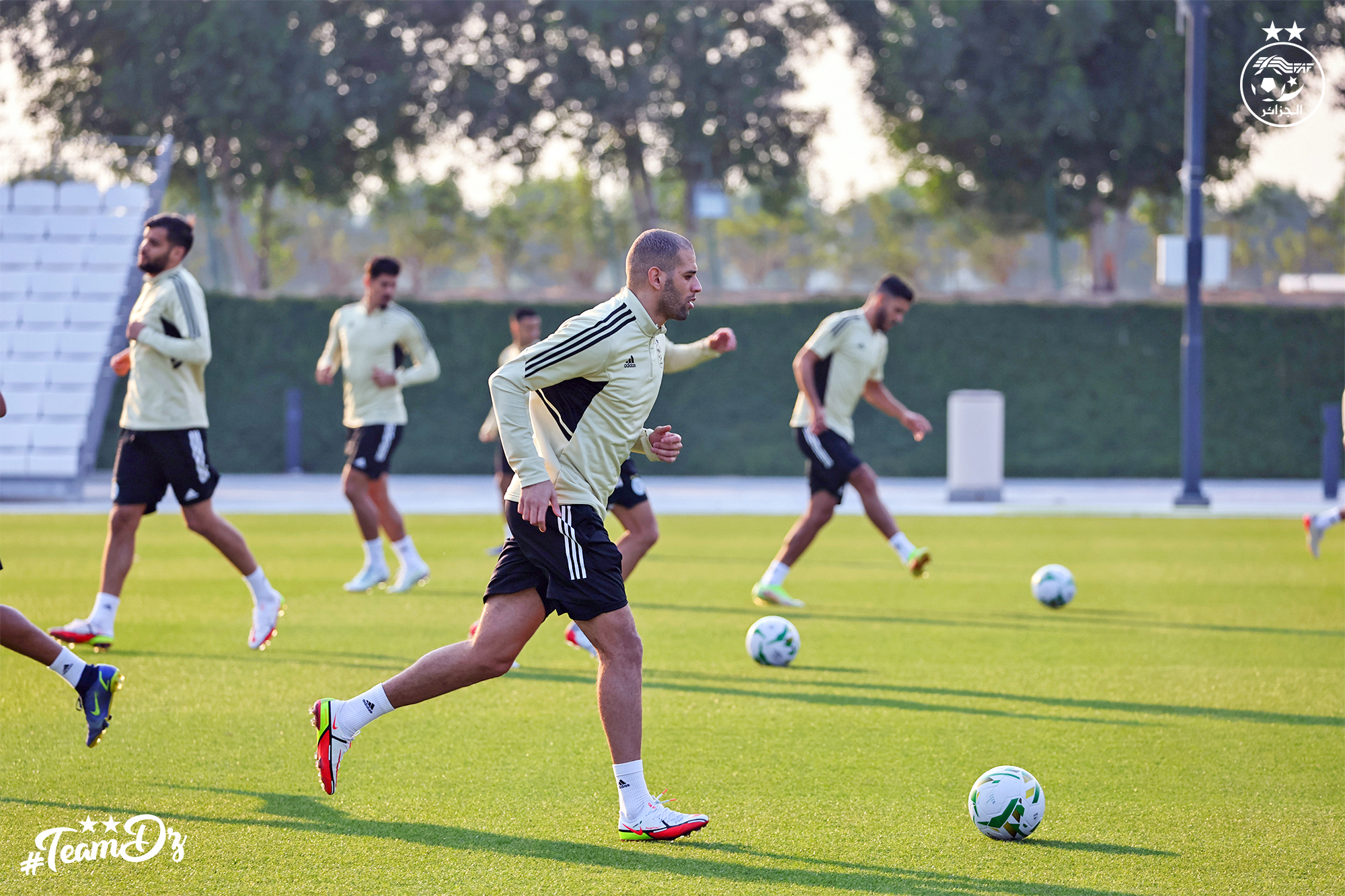 slimani islam profil prepa doha jaune dernier jour