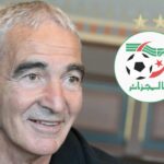 raymond domenech dtn algerie