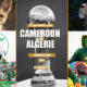 Algerie camerouun 1
