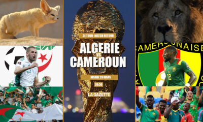 algerie cameroun 4