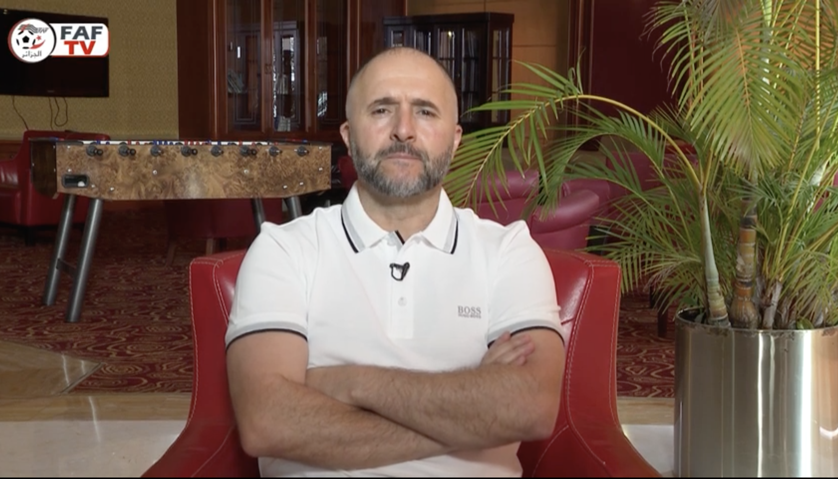 belmadi interview faf tv