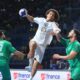 Ali Zein egypt algerie handball defaite 34 19 can 2022