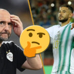 Belmadi belaili avant