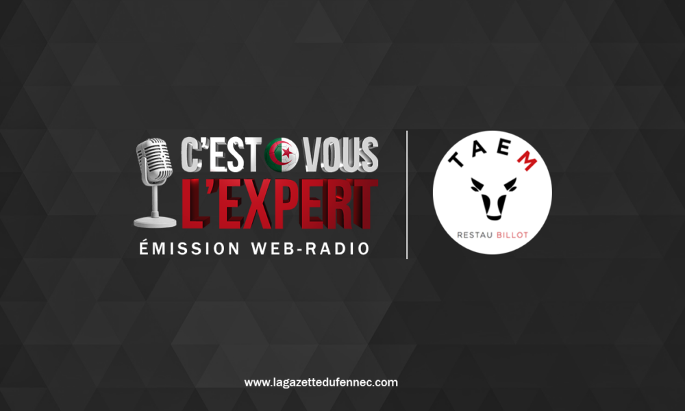 Cest Vous Lexpert La Double Confrontation Du Niger Et Les Grandes