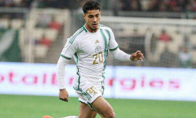 Chaibi Algerie