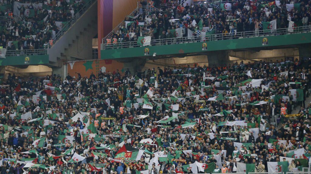public algerien folie chan 2022 drapeau dz fan tribune