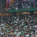 public algerien folie chan 2022 drapeau dz fan tribune