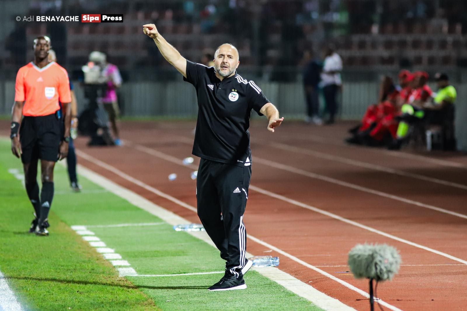 belmadi djamel consigne touche annaba algerie tanzanie 1 1 septembre 2023