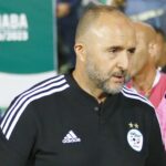 Belmadi