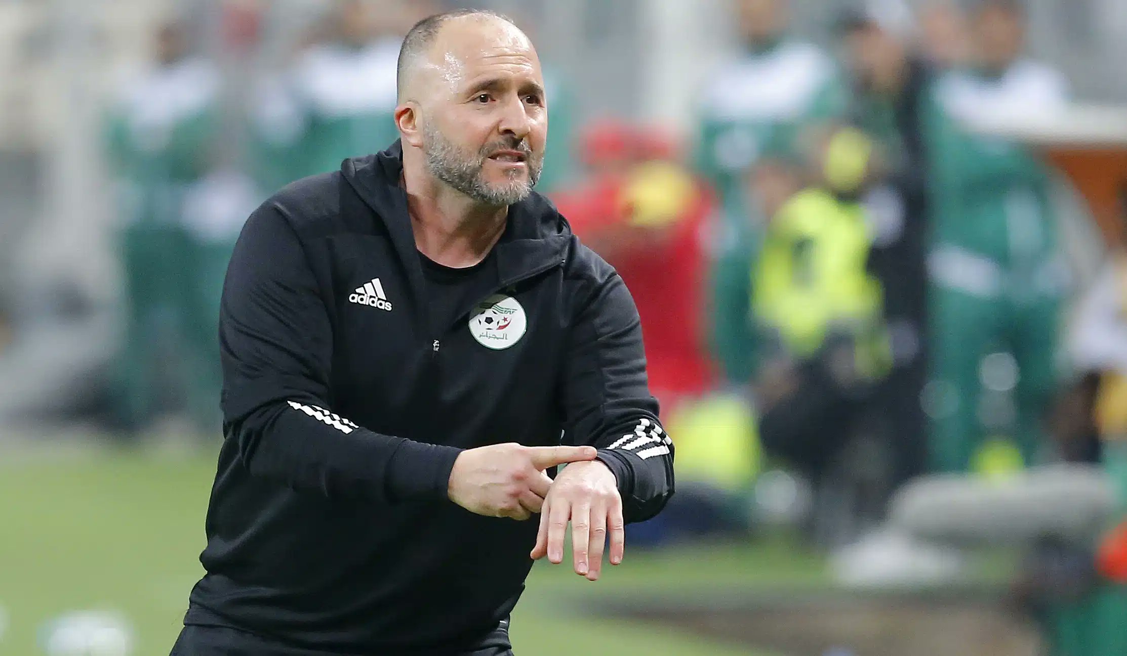 Belmadi