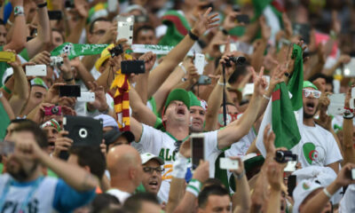 Algérie CAN supporter