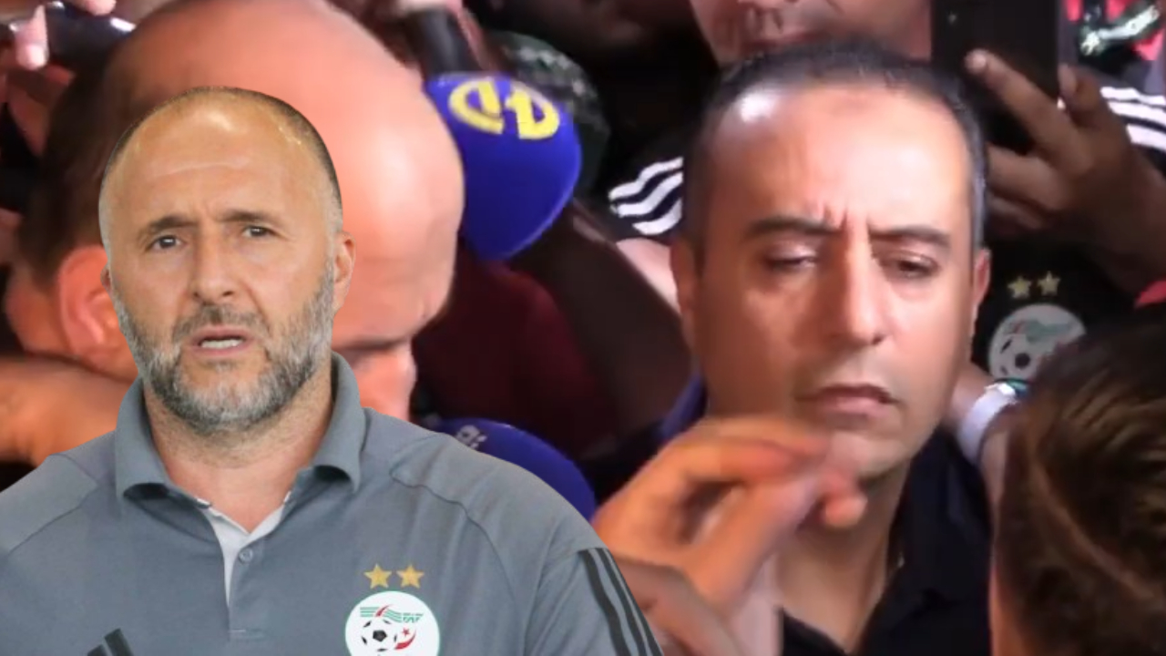 Belmadi Sadi