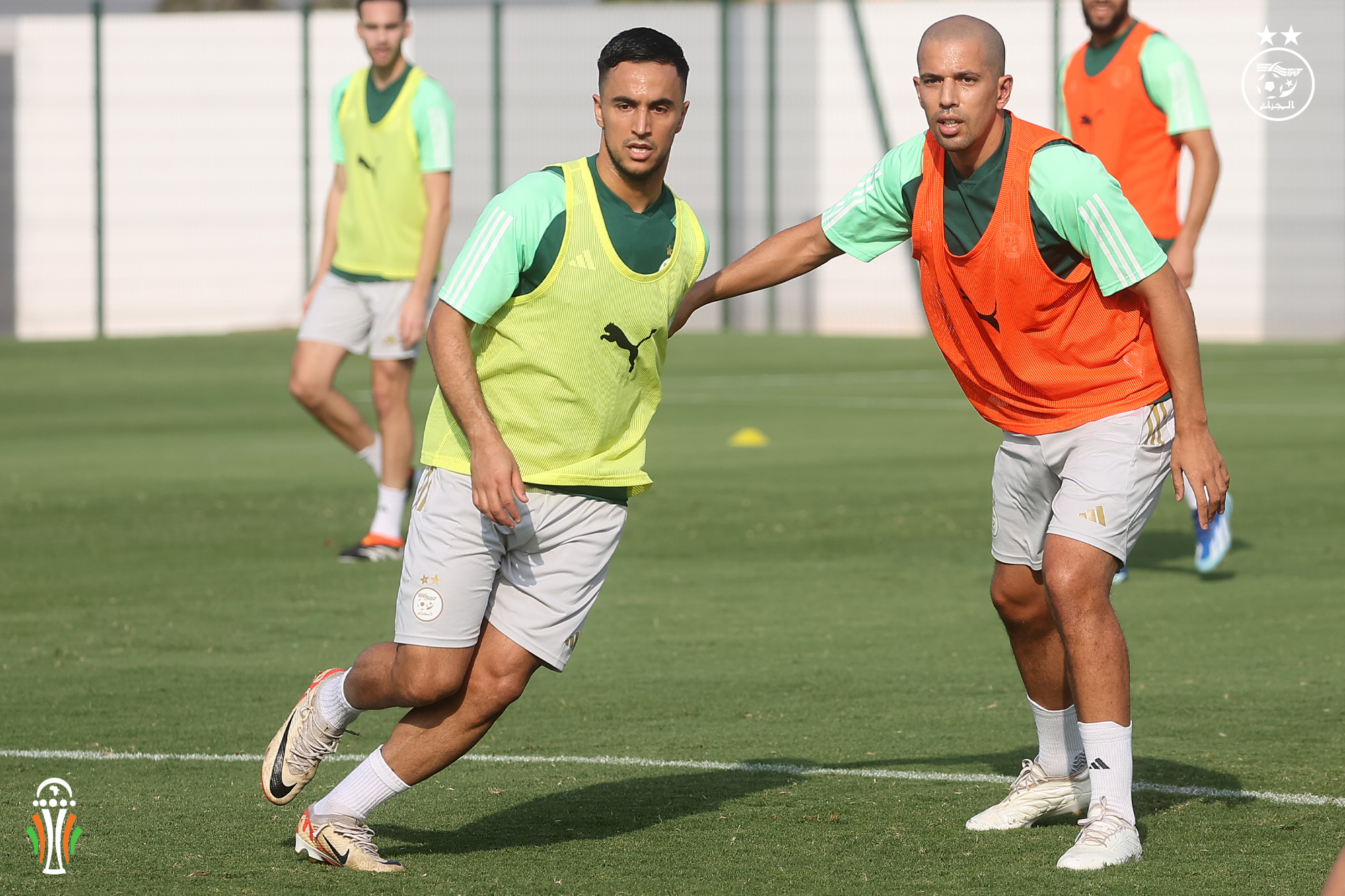 Ounas Feghouli