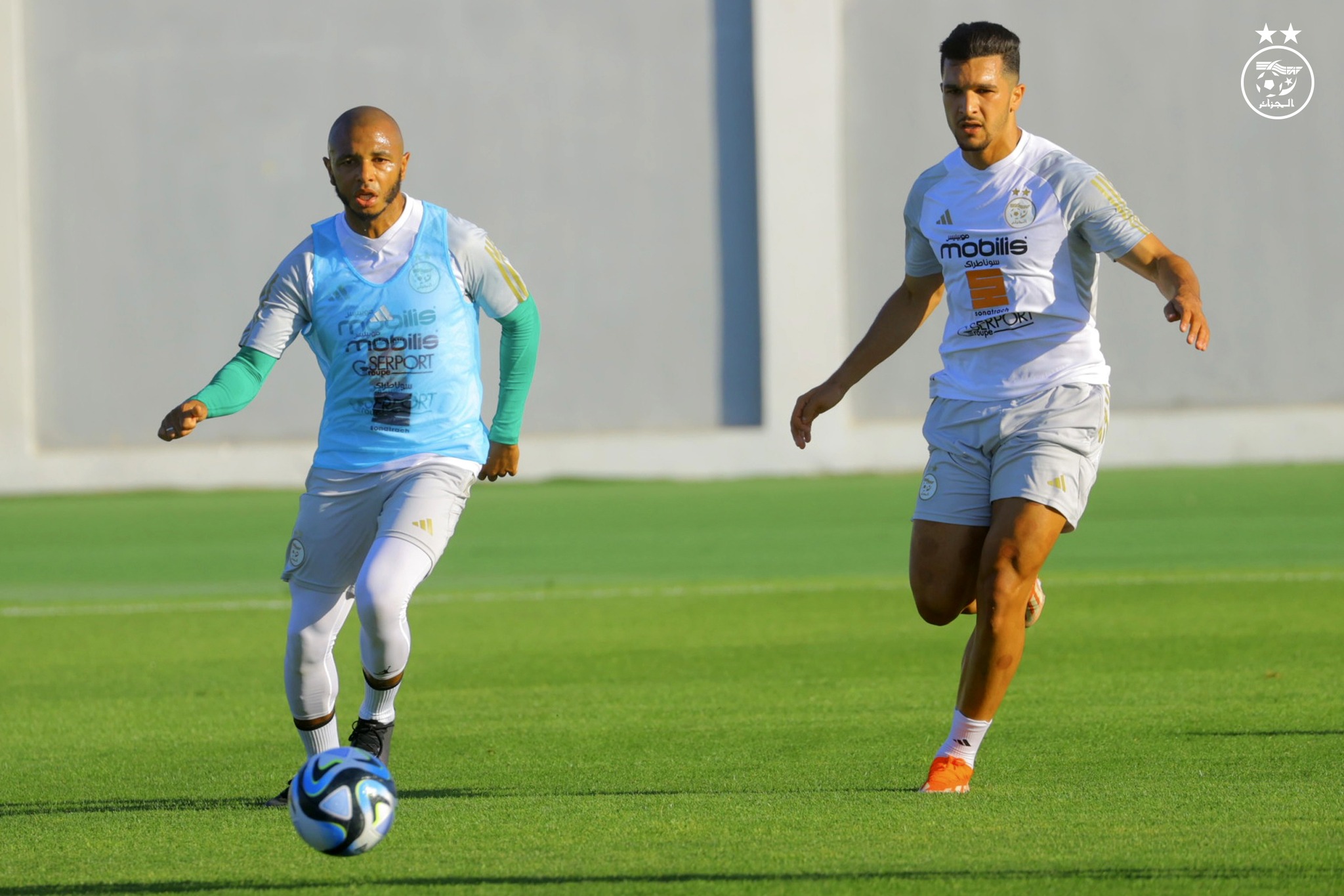 brahimi