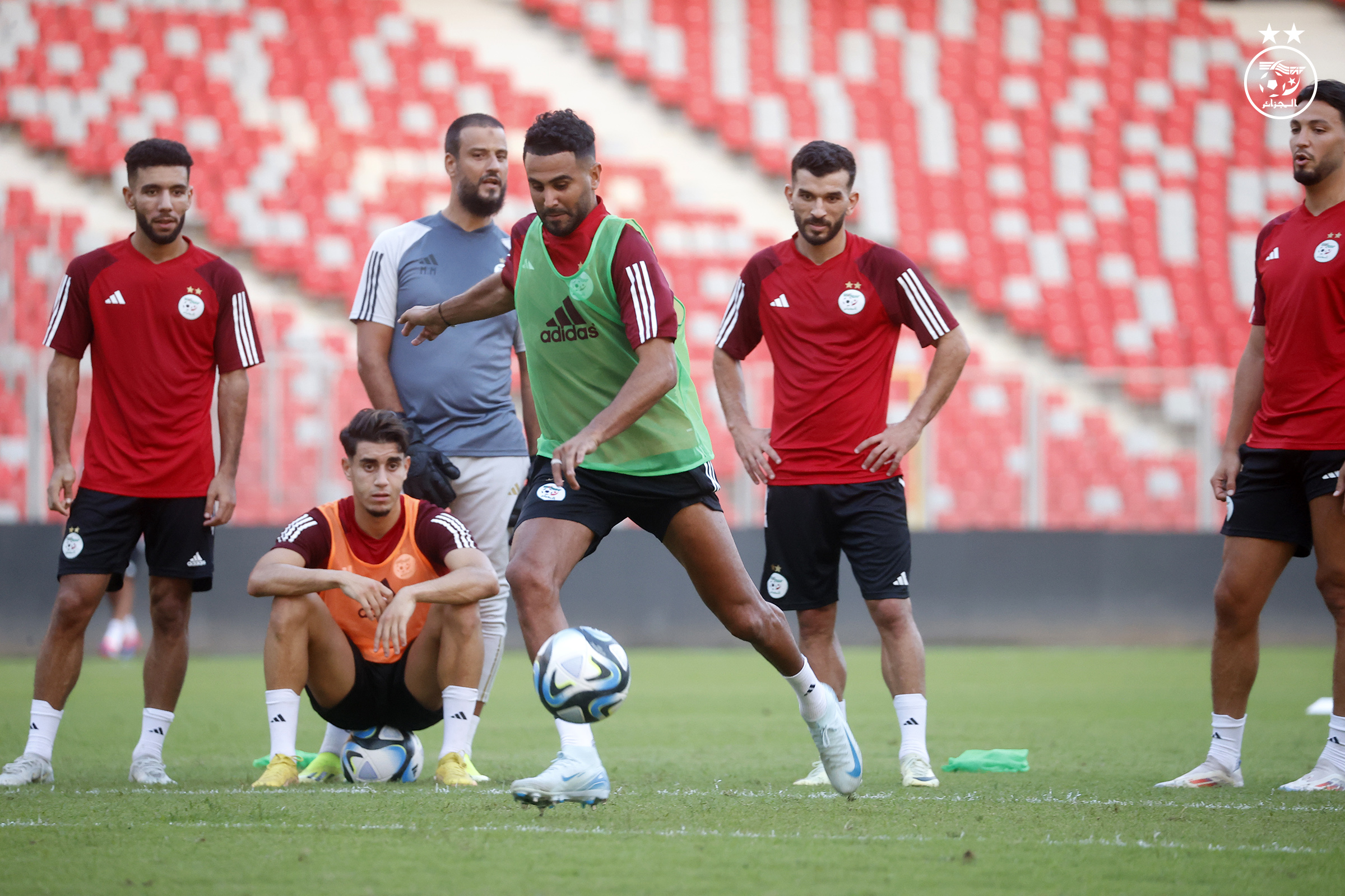 mahrez sidi moussa cap regard respect fennecs