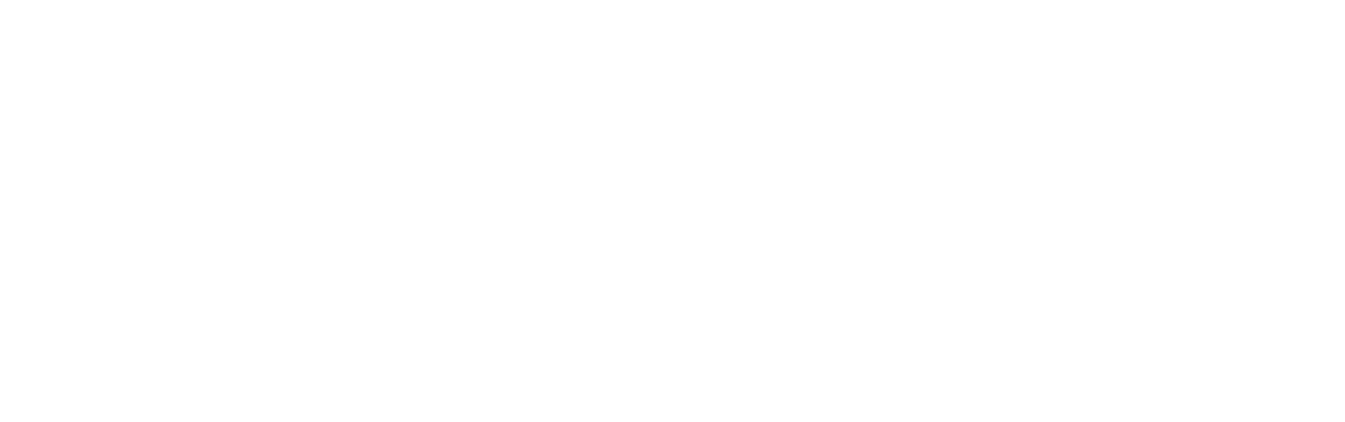 Le site spécialisé de l’Equipe Nationale de Football d'Algérie.