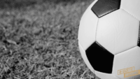 Championnat algérien
