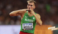 moula avant